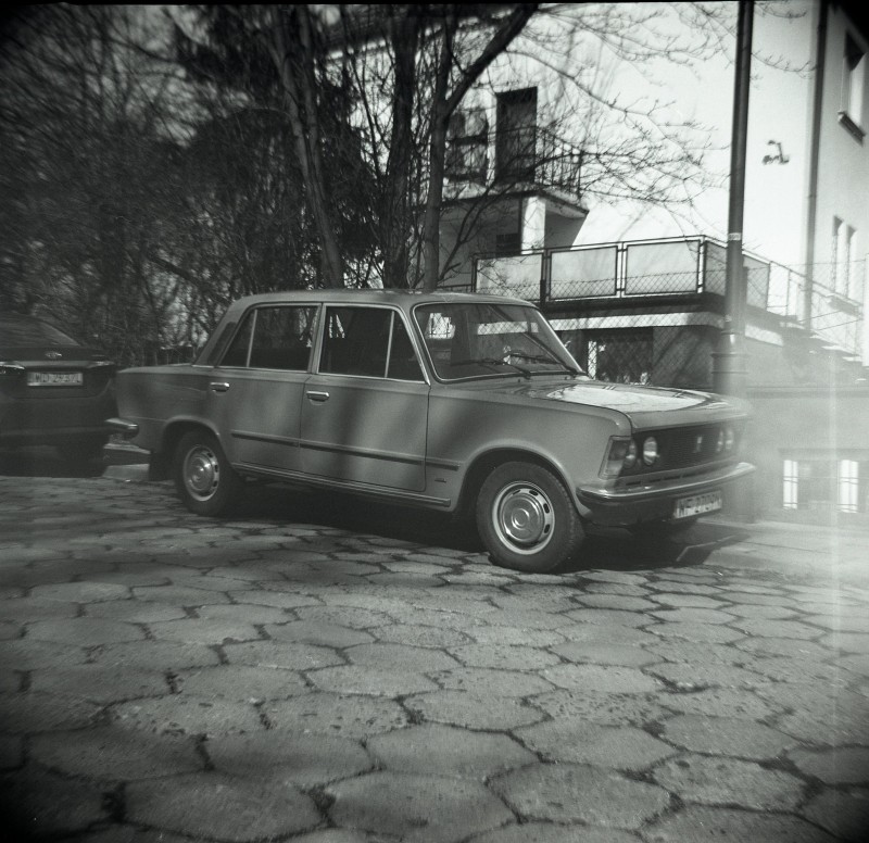 alf683.jpg