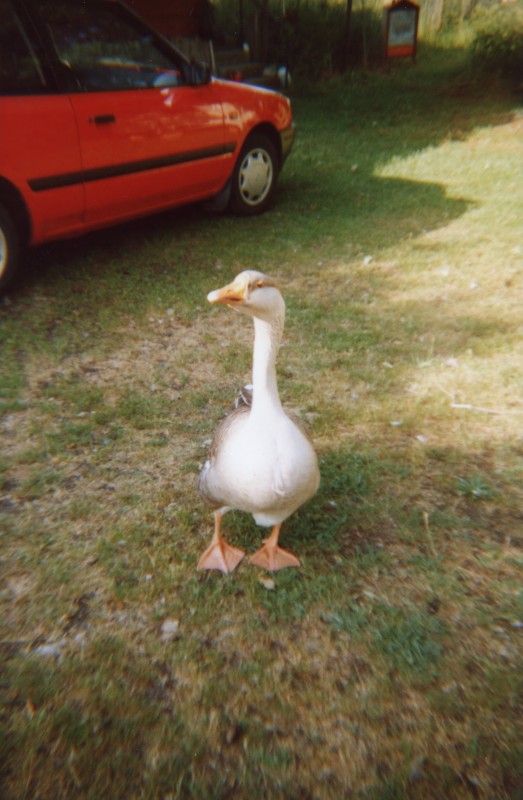 img802.jpg