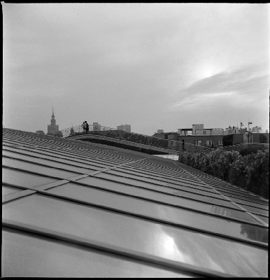 img031.jpg