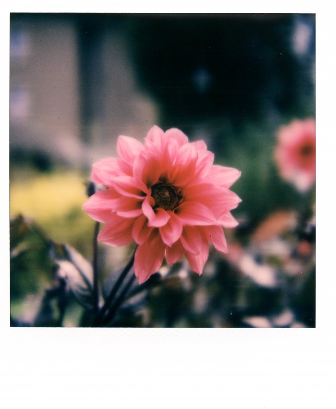 Polaroid SX 70