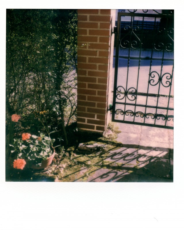 Polaroid SX 70