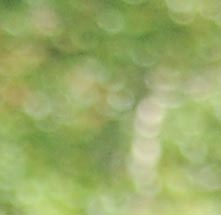MAR_8180-1.jpg