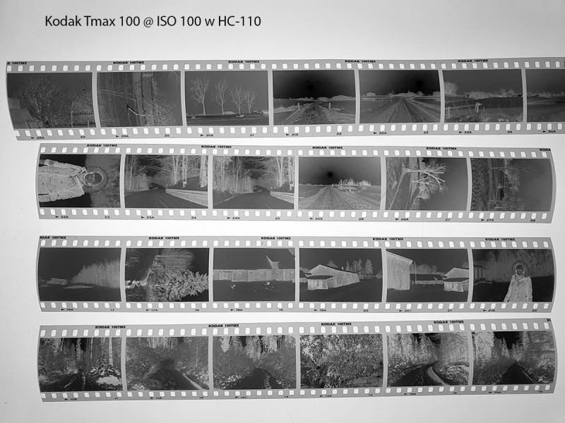 Tmax100-1.jpg