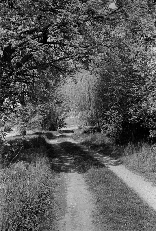 maj2021_23_1300.jpg