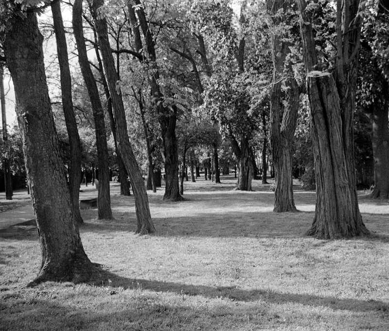 maj2021_07-crop1_1600.jpg