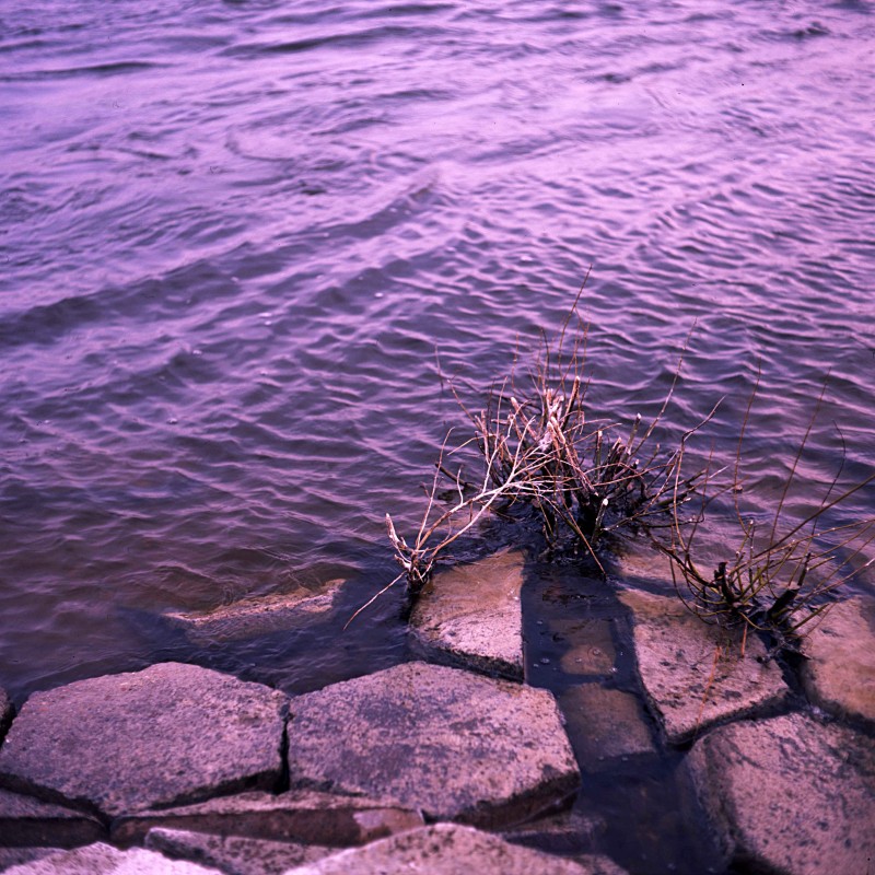 Velvia 1.jpg