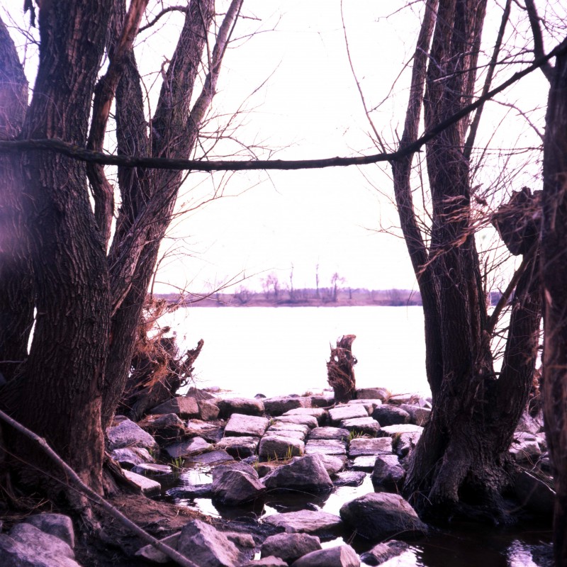 Velvia 8.jpg