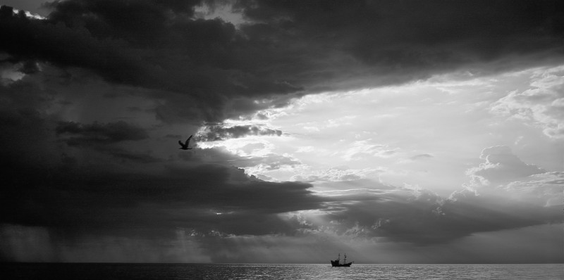 1502_ADOX_WAKACJE_2020_011.jpg