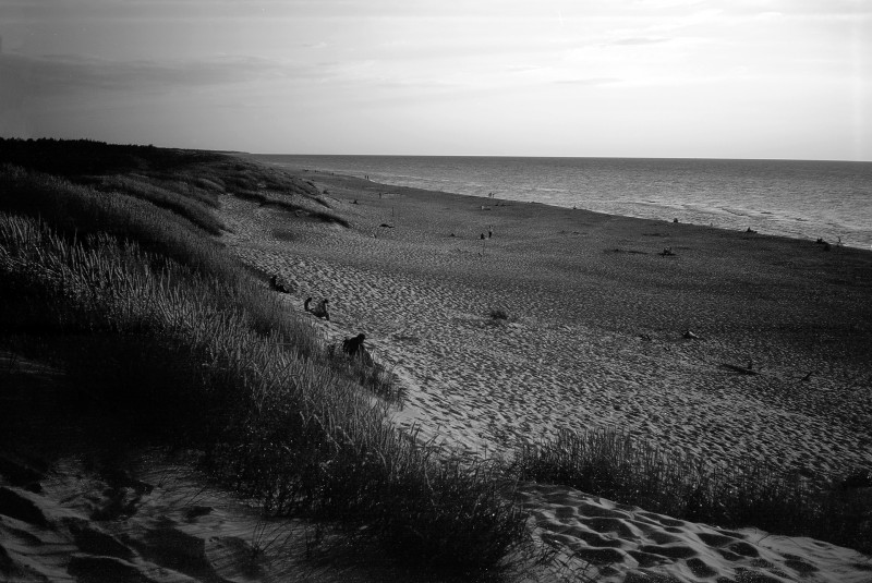 1502_ADOX_WAKACJE_2020_009.jpg