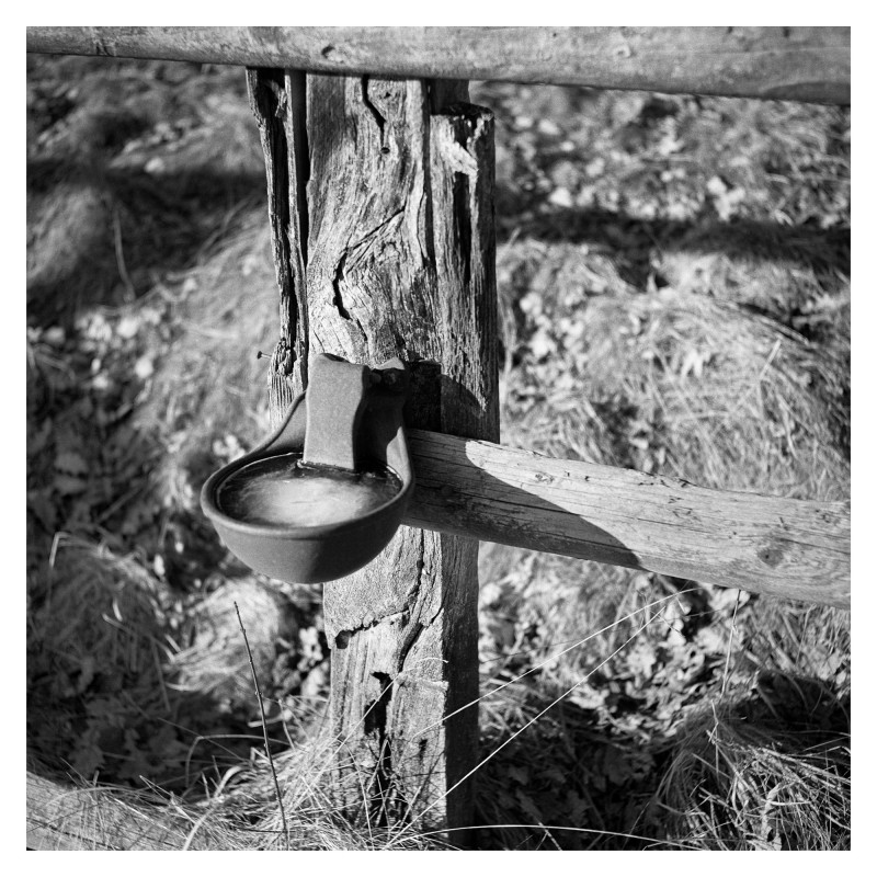 Waterer Fujica 6 HP5.jpg