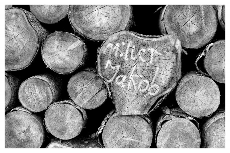 Marked wood.jpg