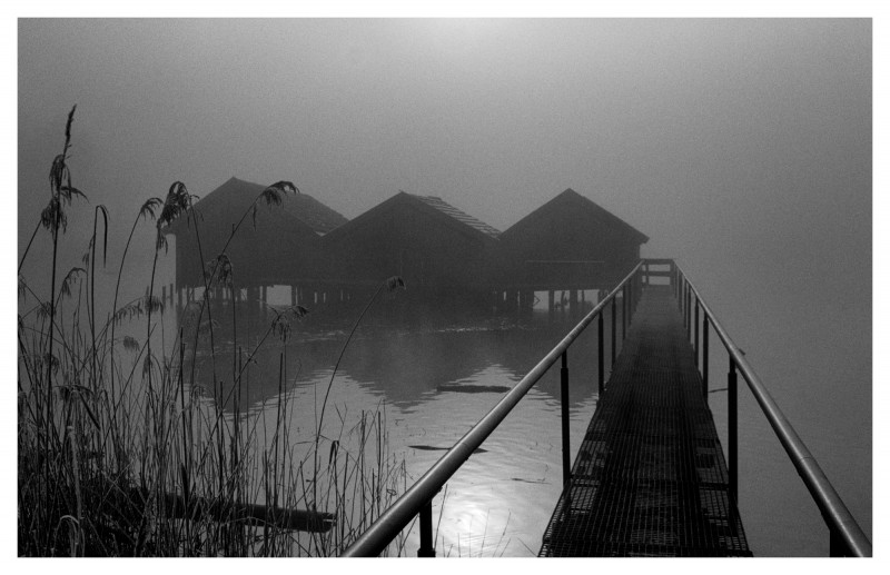 foggy morning.jpg (1.36 MiB) Przejrzano 1776 razy foggy morning.jpg