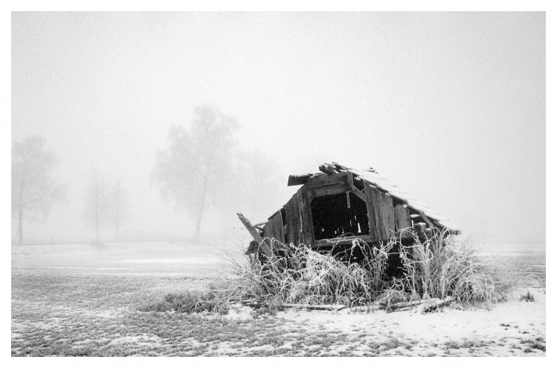 foggy morning 2.jpg (1.48 MiB) Przejrzano 1754 razy foggy morning 2.jpg