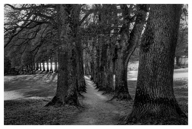 Alley.jpg (1.35 MiB) Przejrzano 1677 razy Alley.jpg