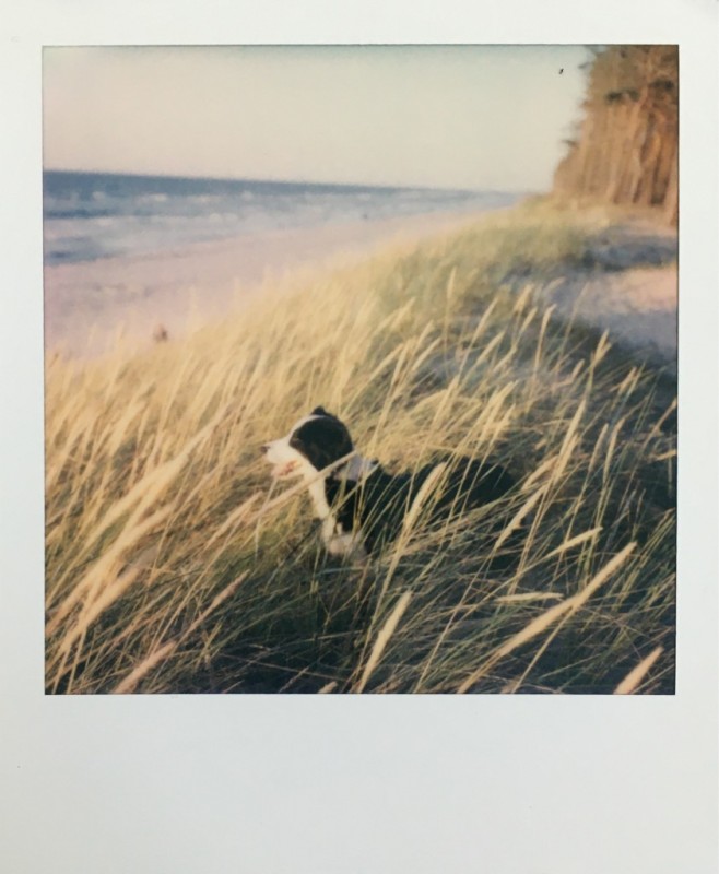 Polaroid SX70