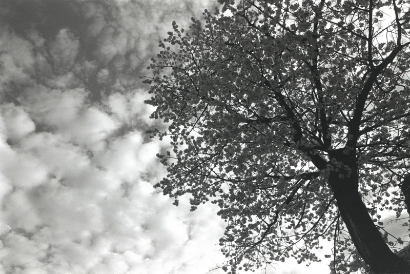 DSCF5407.jpg