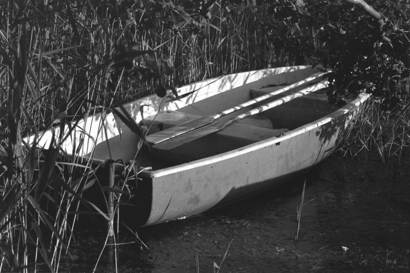 DSCF6445.jpg