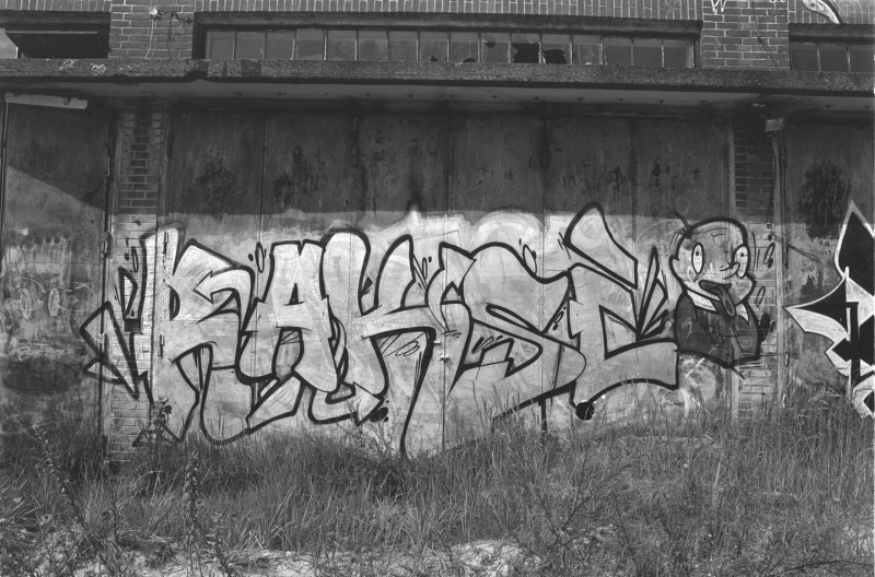 DSCF7133.jpg