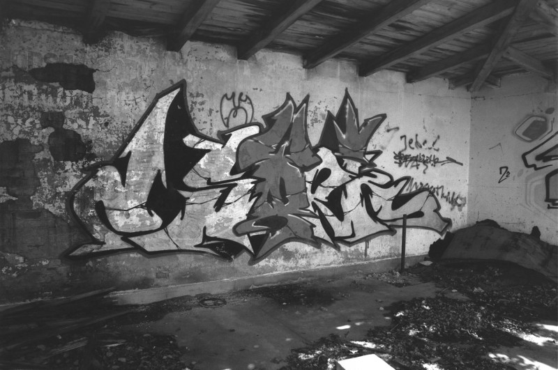 DSCF7077.jpg