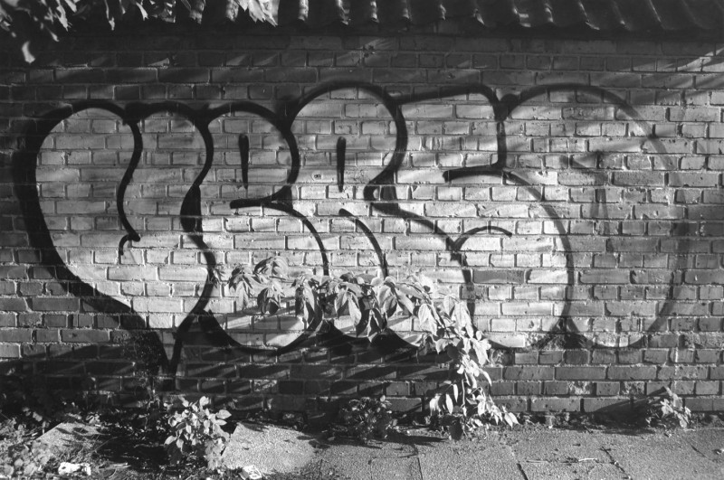 DSCF7543.jpg
