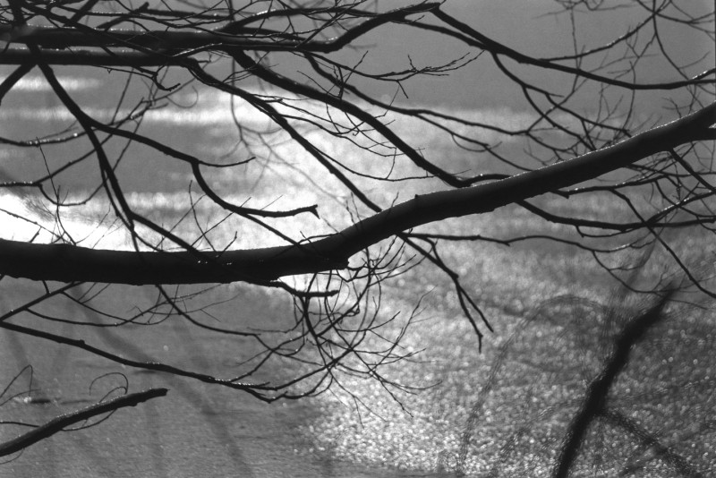 DSCF8949.jpg