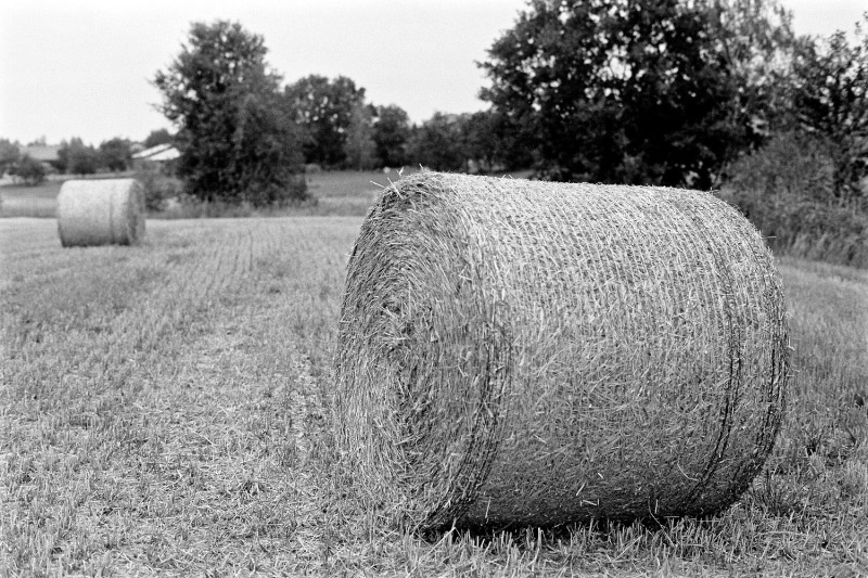 P9280149_DxO-Resizer-1500.jpg