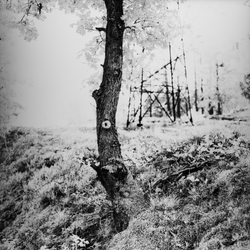_F5_3284.jpg
