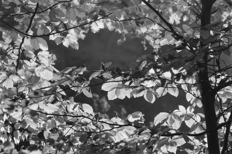 DSCF3654.jpg