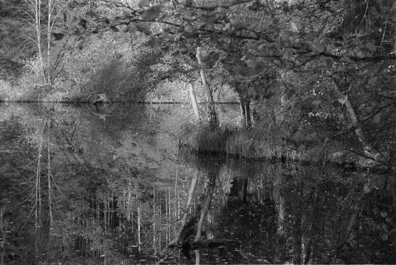 DSCF3645.jpg