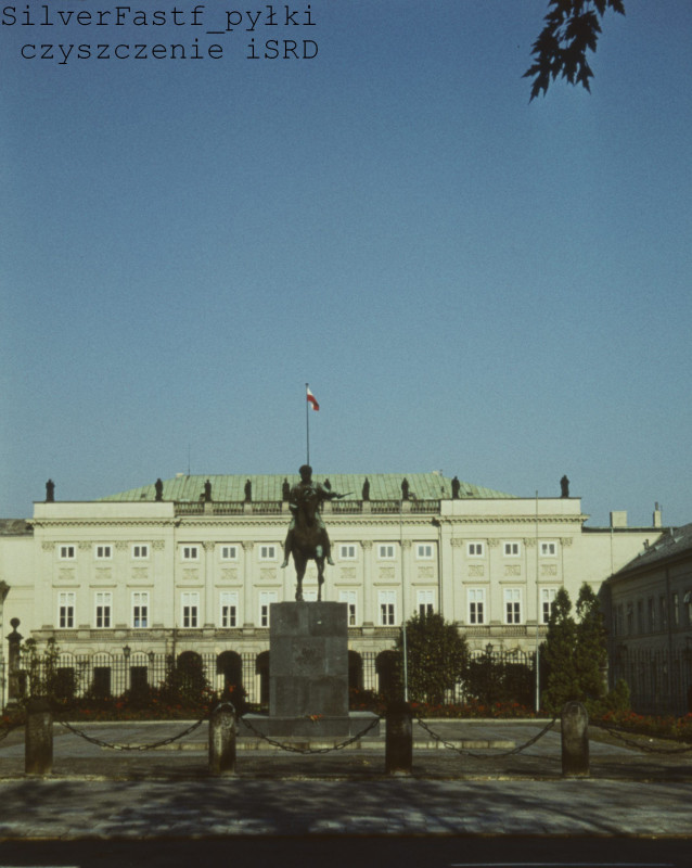 _sf_pyłki czyszczenie iSRD.jpg