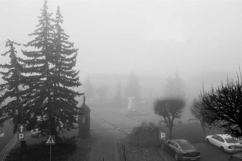 listop 27dng50.jpg