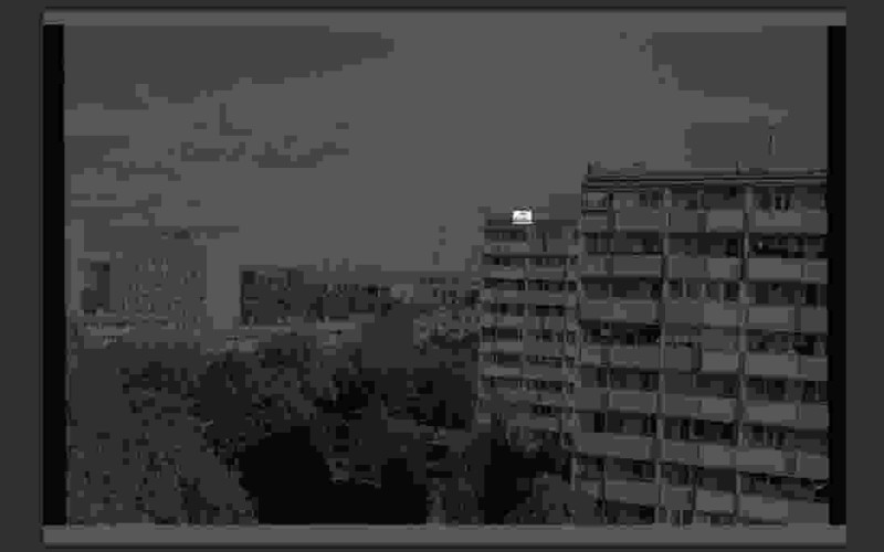 scale-1.jpg