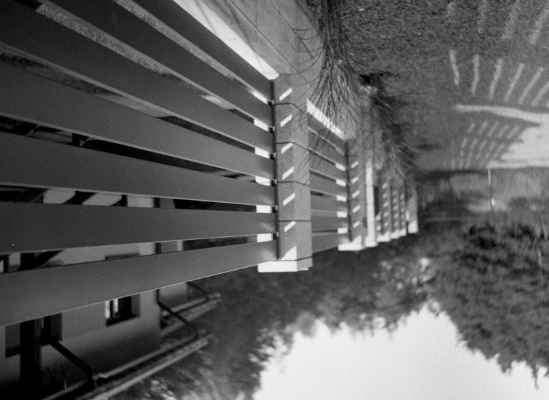 45_2025_010.jpg