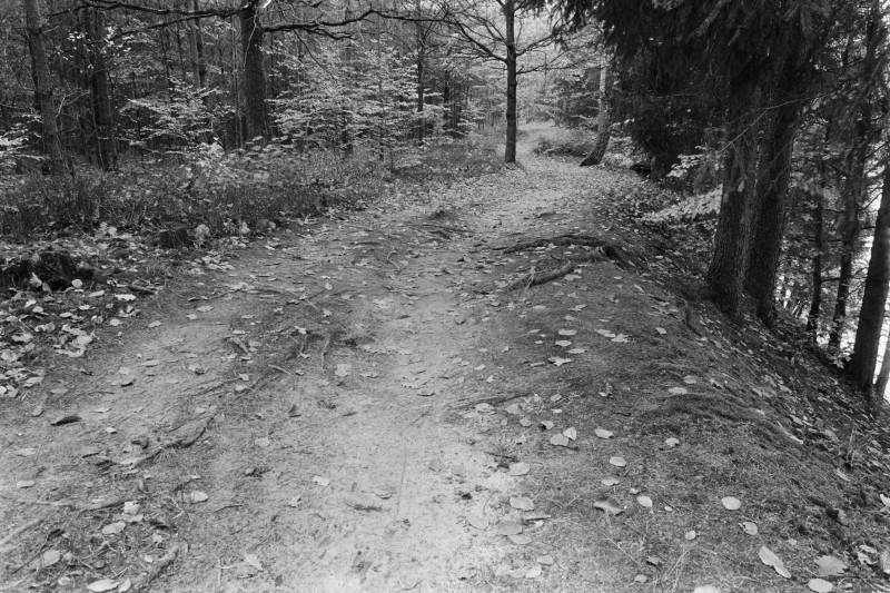 DSCF6469.jpg