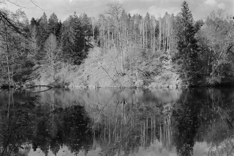 DSCF6485.jpg