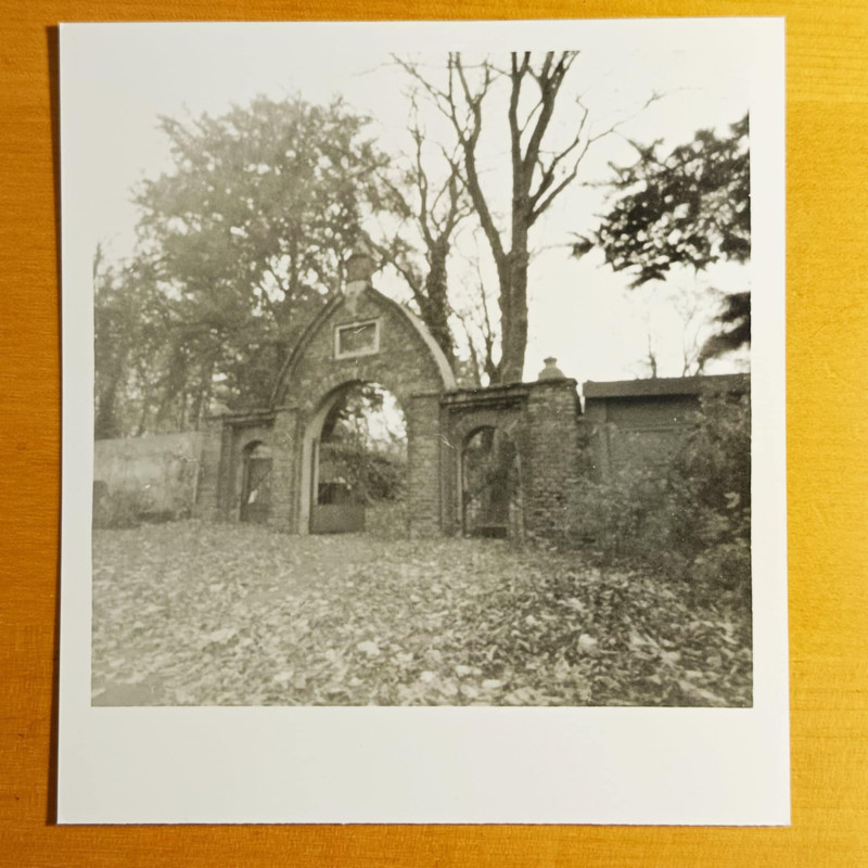 Film FOMAPAN 200,  Papier FOMASPEED Vriant 312 multigrade MATT.<br />Od początku do końca cały proces analogowo, odbitka 9,5 x 9,5 cm sfotografowana telefonem.