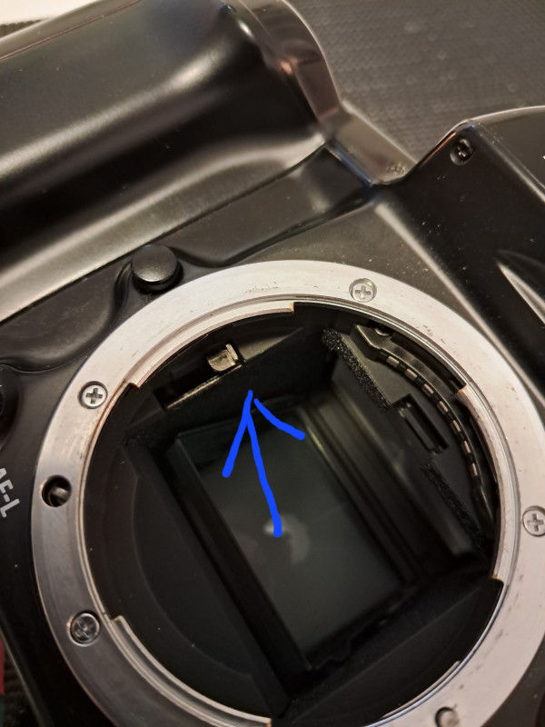 Ta część którą wskazuje niebieska strzałka.