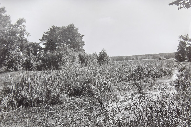 IMG20260125093838 - 1.jpeg.JPEG