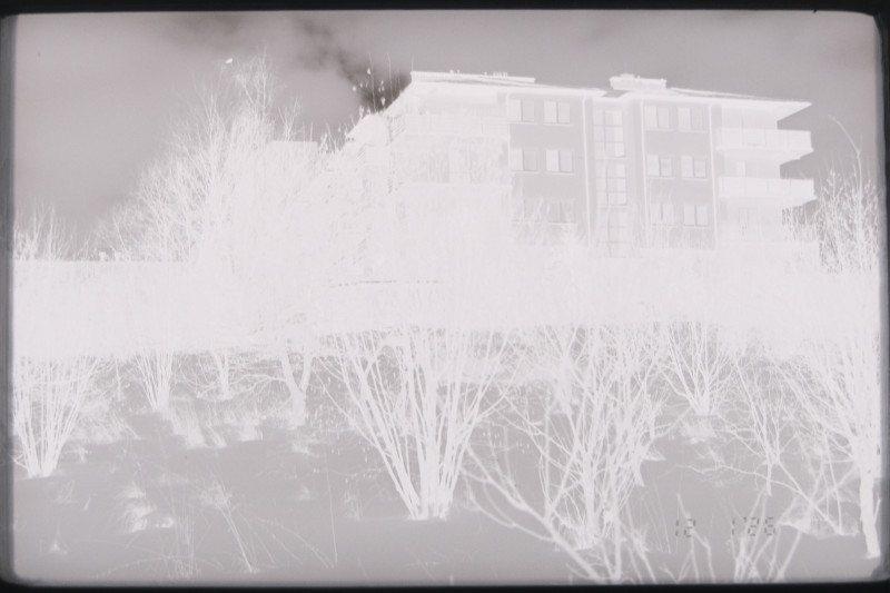 _DSF5331 - 1.jpeg.JPEG