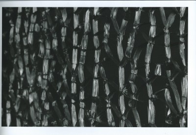 Scan0001.jpg