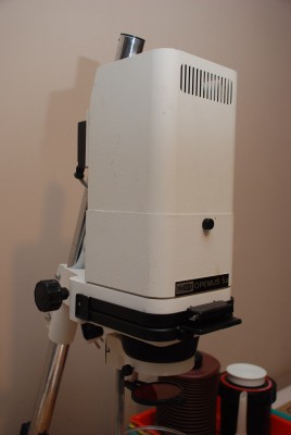 DSC_2384.JPG