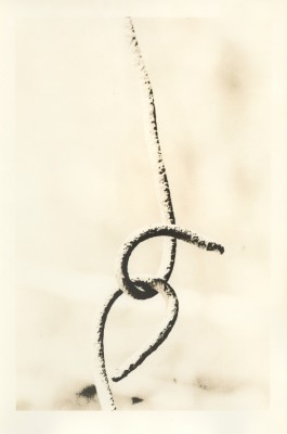 oriental FB-II warm-888.jpg