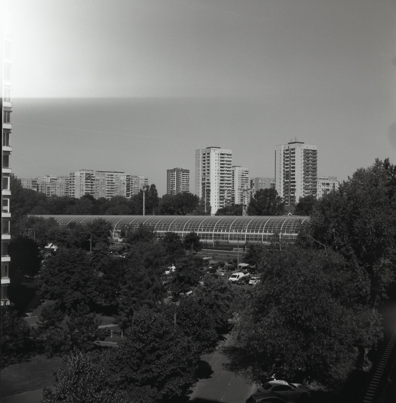 alf825.jpg