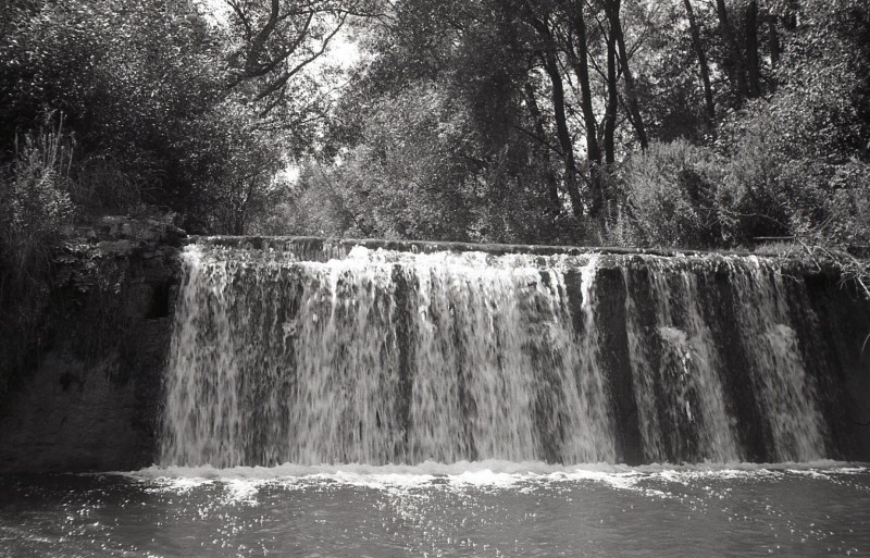 alf876.jpg