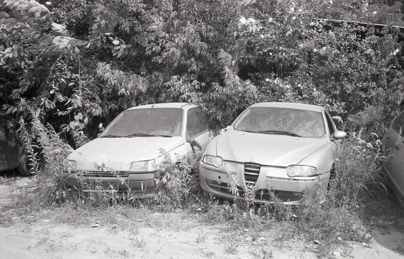 alf874.jpg