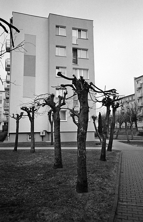 4Rcan_20190310_0021a.jpg