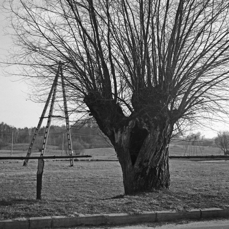 4Rcan_20190330_0001.jpg