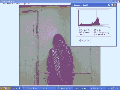 print screen histogram.JPG