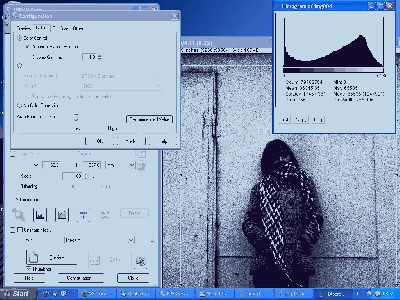 print screen scan gamma 1.JPG