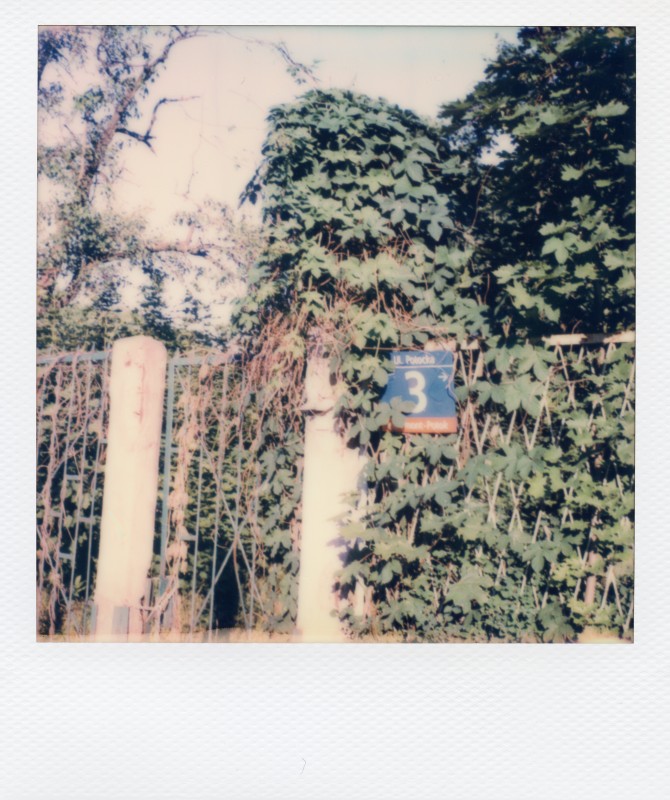 Folding SX70